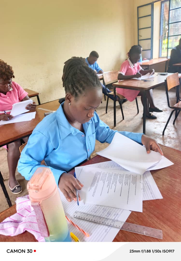Student Studying at Desk